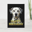 Buscar universal tarjetas Animal