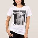 Buscar ovejas camisetas General y unisex