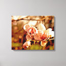 Buscar magnolias lienzos Para todos