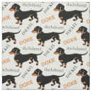 Buscar dachshund telas Lindo