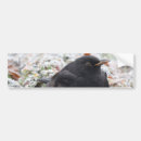 Buscar invierno pegatinas parachoque Pájaro