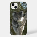 Buscar koala iphone fundas Australia