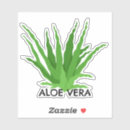Buscar aloe vera pegatinas Planta