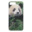 Buscar panda gigante Medio ambiente