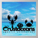 Buscar cangrejo acuático posters Cangrejos