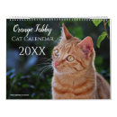 Buscar gatitos calendarios 2025
