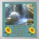 Buscar cascada posters Biblia