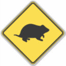 Buscar hamster pegatinas Humorístico