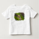 Buscar coqui camisetas Anfibio
