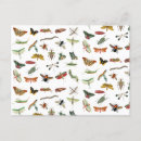 Buscar insectos postales Bugs