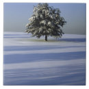 Buscar árboles nevados azulejos Escénico