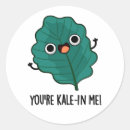 Buscar kale pegatinas Verduras