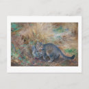 Buscar brun postales Gato