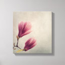 Buscar magnolias lienzos Floral