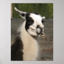 Buscar llamada arte Llamas