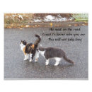 Buscar fotos de animales posters Para ella