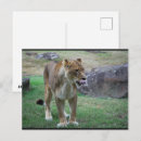 Buscar sabores postales General y unisex