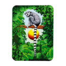 Buscar lemur imanes Salvaje