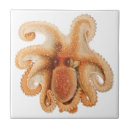 Buscar kraken azulejos Tentáculos