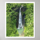 Buscar flores de hawaii posters Islas hawaianas