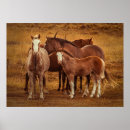 Buscar patagonia argentina posters Naturaleza