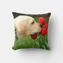 Buscar labrador amarillo cojines Recuperador de labrador