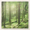 Buscar musgo posavasos Árbol