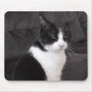 Buscar mascota alfombrillas de raton Animales