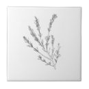 Buscar rosemary azulejos Ilustracion