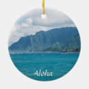 Buscar islas de hawaii adornos Para todos