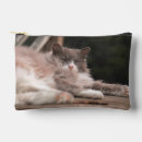 Buscar gato bolsas cosmetica Animal