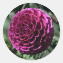 Buscar dali pegatinas Floral