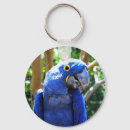 Buscar macaw llaveros Tropical