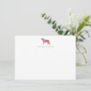 Buscar gatos tarjetas nota Animal
