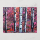 Buscar bosques postales Árbol