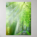 Buscar espiritualidad posters Naturaleza