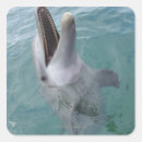 Buscar dientes animales pegatinas Parte del cuerpo animal