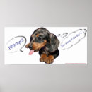 Buscar weiner posters Perrito