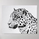 Buscar leopardo blanco posters Blanco y negro