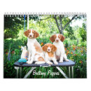 Buscar perritos calendarios Adorable