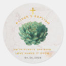 Buscar plantas suculentas pegatinas Para niños