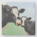 Buscar holstein posavasos Animales de granja