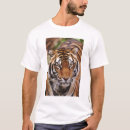 Buscar bengal camisetas Animal
