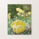 Buscar tulipanes amarillos puzzles Tulipán
