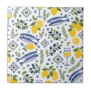 Buscar mediterráneo azulejos De cerámica