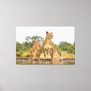 Buscar leones lienzos Gran gato