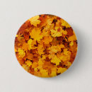 Buscar indios chapas Paisaje