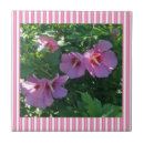 Buscar jardinero azulejos Rosa