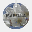 Buscar flor blanca adornos Para ella