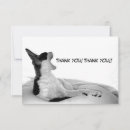 Buscar diva tarjetas 9 º gata